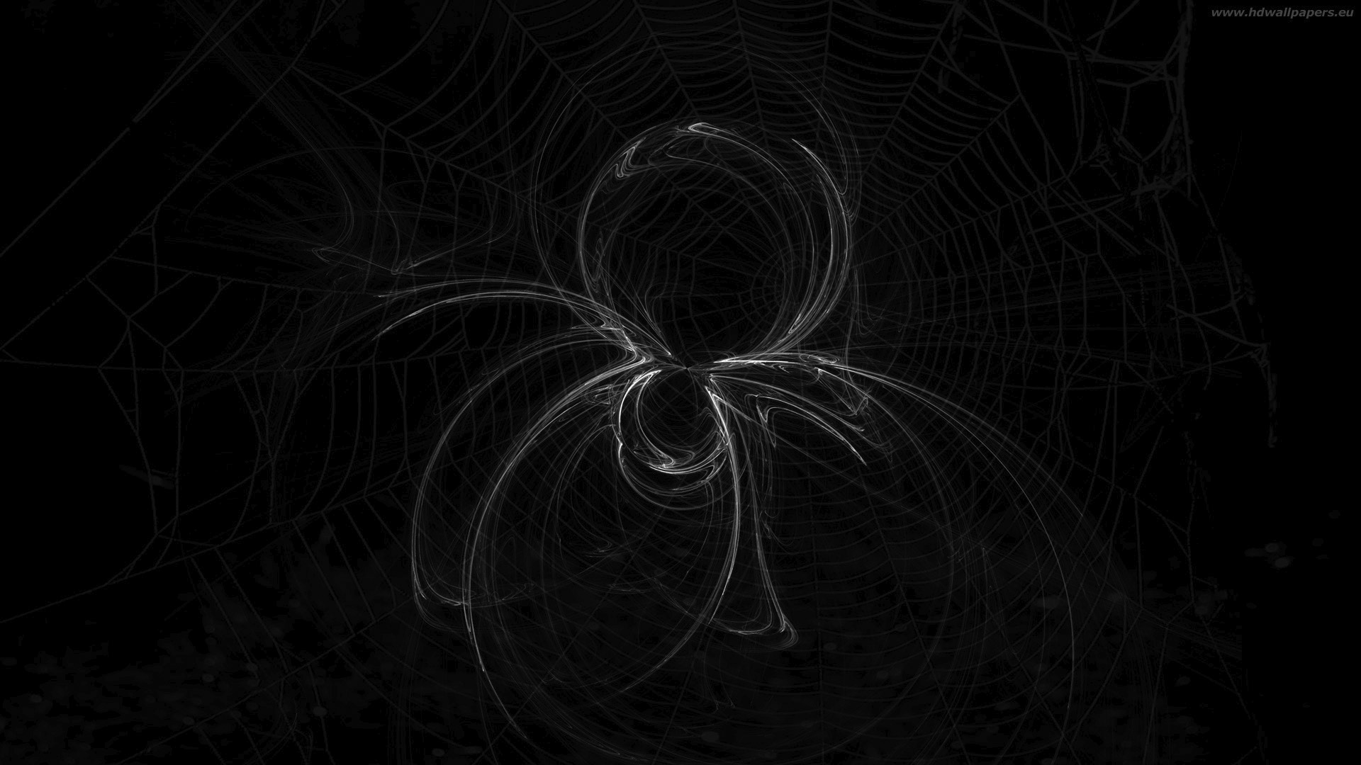 spider-tapety-na-plochu-zdarma-1920x1080