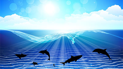 dolphin, sea horse, shark, starfish, sea, sun
